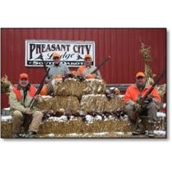 Ringneck Pheasant Hunt at Pheasant City Lodge