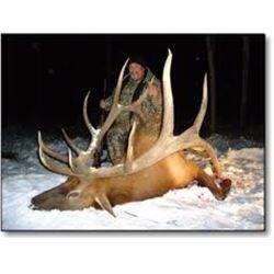 Saskatchewan Trophy Elk Hunt with Silvertine Wildlife Co
