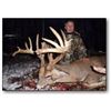 Image 1 : Saskatchewan Trophy Whitetail Hunt with Silvertine Wildlife Co