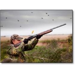 Wingshooting in Argentina with David Denies Wingshooting