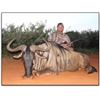Image 1 : South African Plains Game Hunt with Limcroma Safaris