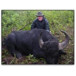 Water Buffalo Hunt in Argentina with Caza y Safaris