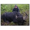 Image 1 : Water Buffalo Hunt in Argentina with Caza y Safaris