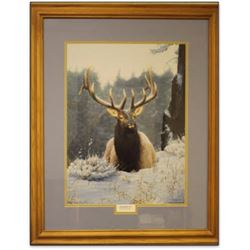 “Snowed In” by Tom Mansanarez