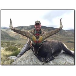 Spanish Hunt with Giuseppe Carrizosa