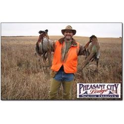 Ringneck Pheasant Hunt at Pheasant City Lodge