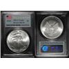 Image 1 : 2010  American Silver Eagle PCGS MS-70 25th Year of Issue