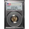 Image 1 : 2010 $10 Gold American Eagle NGC MS-70 Early Release