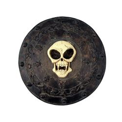 The Vampire Diaries Shield