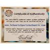 Image 2 : Signed John Havlicek Boston Celtics Photo 16" x 20"