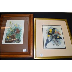 Two framed Audubon prints
