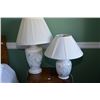 Image 1 : Two floral motif porcelain table lamps