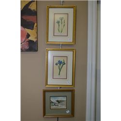 Three framed prints including a cottage scene and "Iris Versicolour"