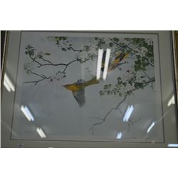 Framed limited edition print of birds in flight 171/500 signed by artist Frank De Matteis