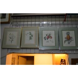 Four framed prints fruit and floral