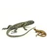 Image 1 : 2 Vienne Bronze Lizards