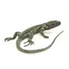 Image 2 : 2 Vienne Bronze Lizards