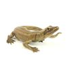 Image 5 : 2 Vienne Bronze Lizards