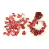 Image 1 : Red Coral on String