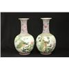 Image 1 : Pair of Chinese Porcelain Vases