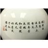 Image 5 : Pair of Chinese Porcelain Vases