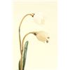 Image 2 : 19th C. Jade & White Jade, Potted Flowers