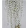 Image 3 : Single Mid Century Sconce with Crystals