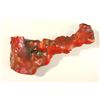 Image 2 : Lot of Red Coral
