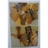Image 1 : Pair of Abstracts