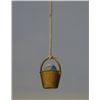 Image 3 : Earth in a Bucket