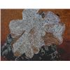 Image 3 : Ellen Brooks, "Table Rocks, 1988"