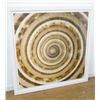 Image 2 : Ben Wood, "Sepia Shells"