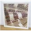 Image 3 : Ben Wood, "Sepia Shells"