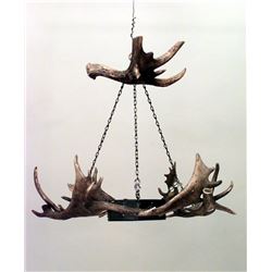 Large Horn Chandelier