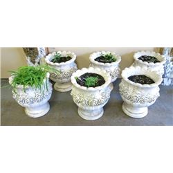 Set of 6 Cement Jardinieres