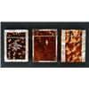 Image 1 : Three tortoiseshell and mother of pearl card cases, each with central tortoiseshell panels with m...