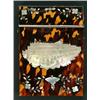 Image 1 : A Victorian tortoiseshell and mother of pearl card case, one side depicting a view of the Crystal...