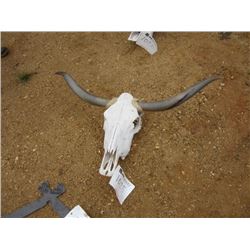 SKULL W/HORNS