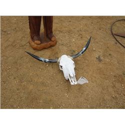 SKULL W/HORNS