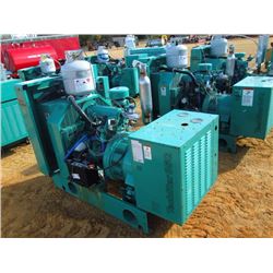 ONAN GENERATOR SET, S/N H880149422, LP GAS