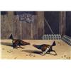 Image 1 : Cockfighting. After Fielding, a set of six mid 19th Century hand tinted prints of a cock fight, p...