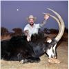Image 12 : Namibia Plains Game Hunt for Two Hunters ($8,200 Value)