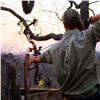 Image 32 : Namibia Plains Game Hunt for Two Hunters includes 2 Kudu, 2 Gamsbuck, 2 Hartebeest ($12,900 value)