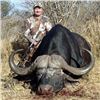 Image 1 : Mozambique Cape Buffalo Hunt for Two (2) Hunters (Retail $33,100)