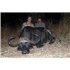 Image 4 : Mozambique Cape Buffalo Hunt for Two (2) Hunters (Retail $33,100)