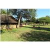Image 29 : Mozambique 14-Day Leopard Hunt 1x1 (Value: $24,500)