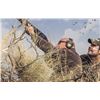 Image 10 : Argentina Dove Hunt for Four (2) Hunters - Retail value $4,120.00