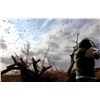 Image 2 : Argentina Dove Hunt for Four (2) Hunters - Retail value $4,120.00