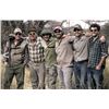 Image 8 : Argentina Dove Hunt for Four (2) Hunters - Retail value $4,120.00