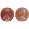 1961-Y. Australian KGVI Half Penny - PCGS MS 66RB